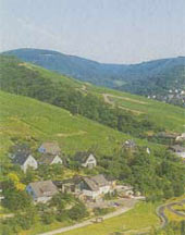 Ferienwohnungen Rebenhof in Enkirch an der Mosel