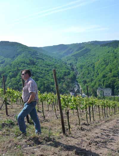 Dietmar Niedersberg